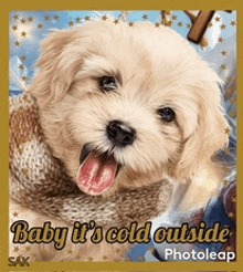 a picture of a puppy with the words baby it 's cold outside at the bottom