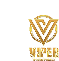 a logo for viper this is family with a triangle in the center