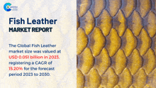 a fish leather market report with a picture of a fish on the bottom