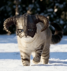 a cat wearing a helmet with horns on its head