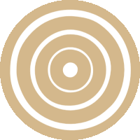 a brown circle with a white circle in the center