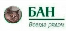 a picture of a cat in a circle next to the word ban in green letters