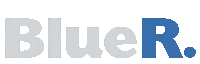 a blue and white logo that says bluer on it