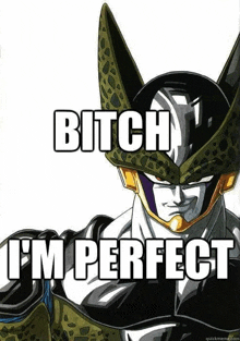 cell from dragon ball z says bitch i m perfect