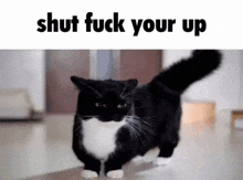 a picture of a black and white cat with the words shut fuck your up above it