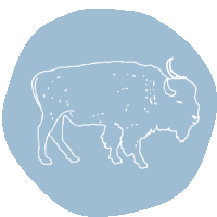 a drawing of a bison is in a blue circle