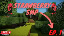 strawberry smp ep. 1 is being streamed live on youtube