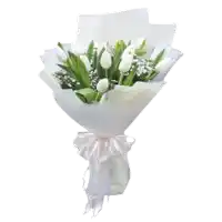 a bouquet of white tulips wrapped in white paper and tied with a white bow .