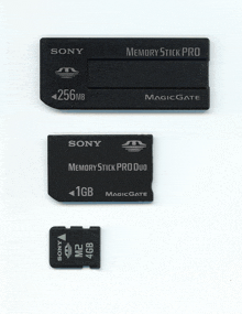 a sony memory stick pro duo is next to a 256mb memory stick pro duo