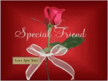 a special friend card with a red rose