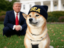 a dog wearing a dea hat is sitting in front of donald trump