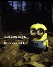 a picture of a minion says goodnight to ari only and the rest of you can die