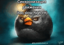 an angry bird with the words too slow high rtt written on it