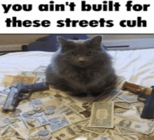 a cat is sitting on a pile of money next to guns