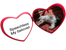 a heart shaped mirror that says speechless my beloved on it