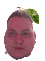 a man 's face with a green leaf on his head