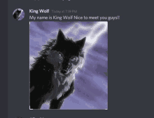 a screenshot of a discord chat with a picture of a wolf and lightning .