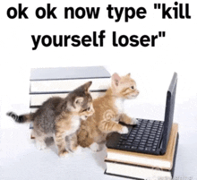 two kittens standing next to a laptop with the words " ok ok now type kill yourself loser "