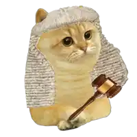 a cat wearing a judge 's wig holds a gavel