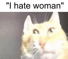 a close up of a cat 's face with the words " i hate woman " above it