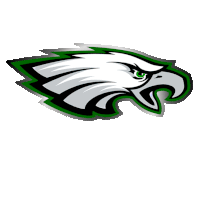 a white and green eagle with a green eye is on a white background