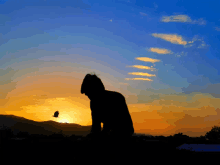 a silhouette of a person with a bird flying in the background