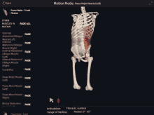 a computer screen shows a skeleton and says motion mode at the top