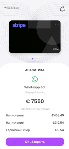 a screenshot of the stripe app showing a whatsapp bot