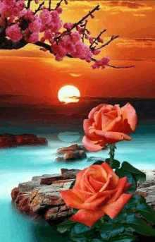 two roses are sitting on a rock in front of a sunset over a body of water .