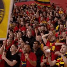 a crowd of people in a stadium with one man wearing a scarf that says ' sweden ' on it