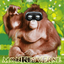 a monkey wearing a virtual reality headset with the words monkeyverse written below it