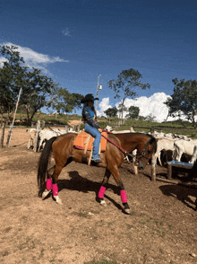 a woman wearing a cowboy hat is riding a horse