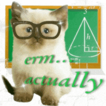 a cat wearing glasses is sitting in front of a chalkboard that says " erm ... actually "