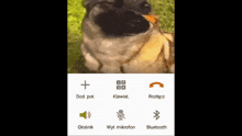 a screenshot of a phone with a dog in the background and a few icons