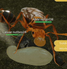 a computer generated image of an ant with the name alate nutgirl38