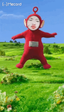 a picture of a teletubbies with a face on it