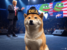 a dog wearing a hat that says dea stands in front of donald trump