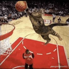 a cat is jumping in the air with a basketball in its paws .