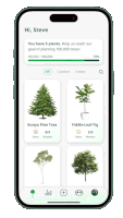 a phone displays a screenshot of a pine tree app