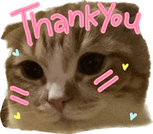 a cat 's face with the words thank you above it