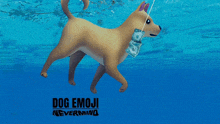 a dog with a bag of money around its neck is swimming in the water with the words dog emoji nevermind below it