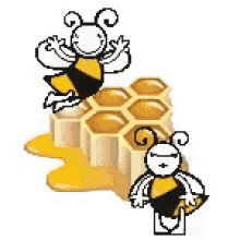 two bees are standing next to a honeycomb .