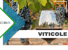 an advertisement for viticole with a glass of wine in front of a bunch of grapes