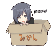 a girl with cat ears is peeking out of a box that says meow