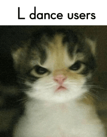 a cat with an angry look on its face and the words l dance users below it