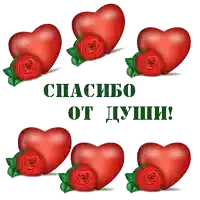 red hearts and roses on a white background with the words спасибо от души