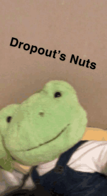 a stuffed frog with dropout 's nuts written on the bottom