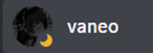 a blurred image of a person with the name vaneo in white letters