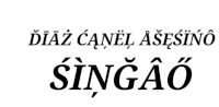 diaz canel asesino singao is written on a white background