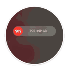 a circle with a red sos button in the middle